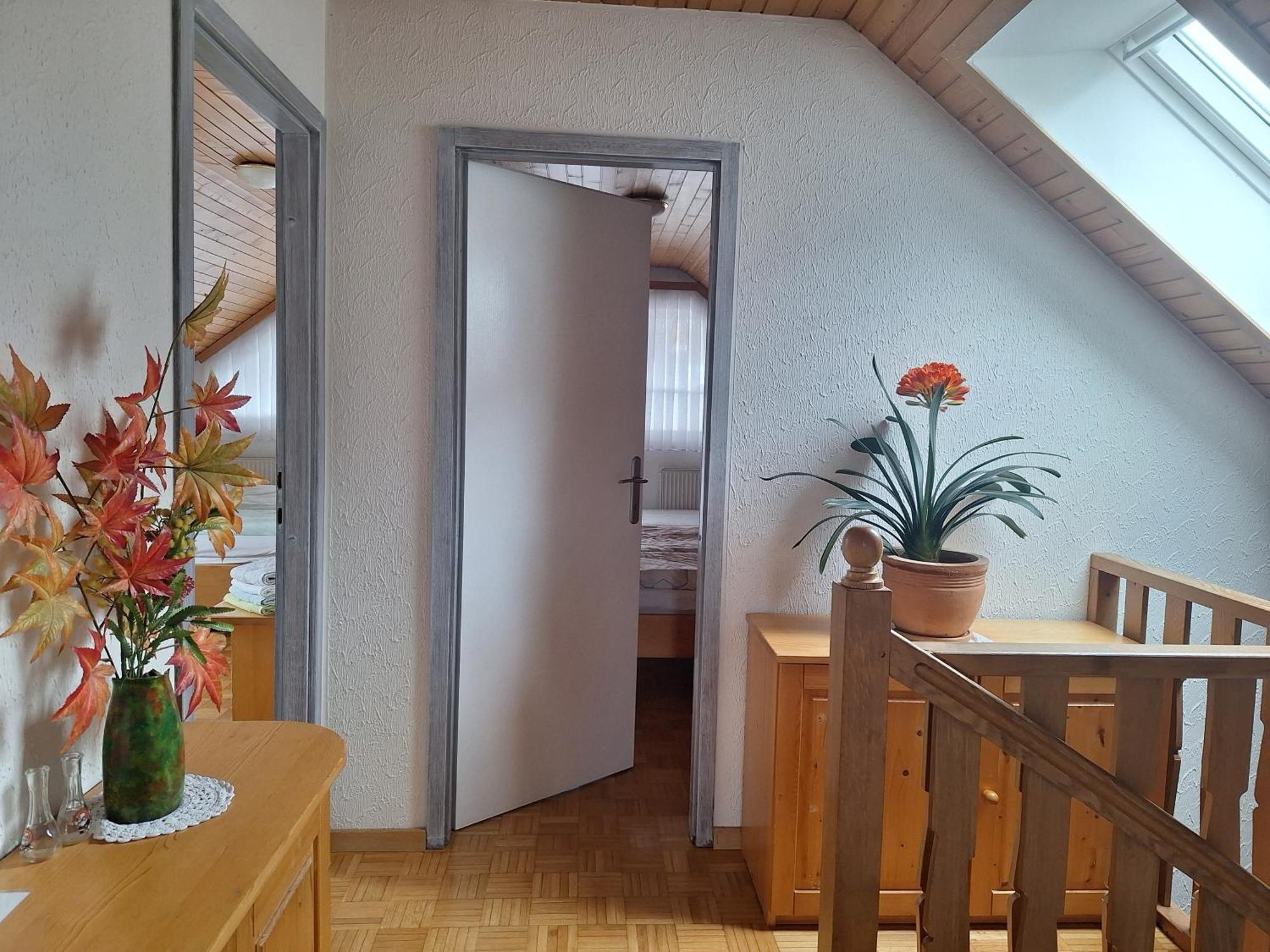 Apartmaji Marinka Hodnik Bohinj Esterno foto