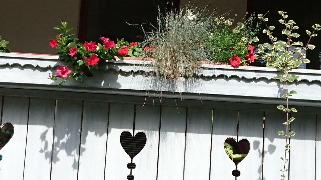 Apartmaji Marinka Hodnik Bohinj Esterno foto
