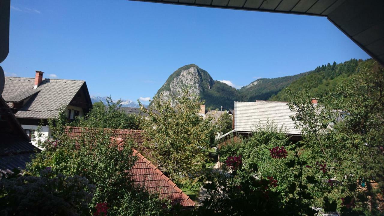 Apartmaji Marinka Hodnik Bohinj Esterno foto